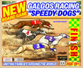 GALGOS RACING "SPEEDY DOGS" Uniting Families around the World
